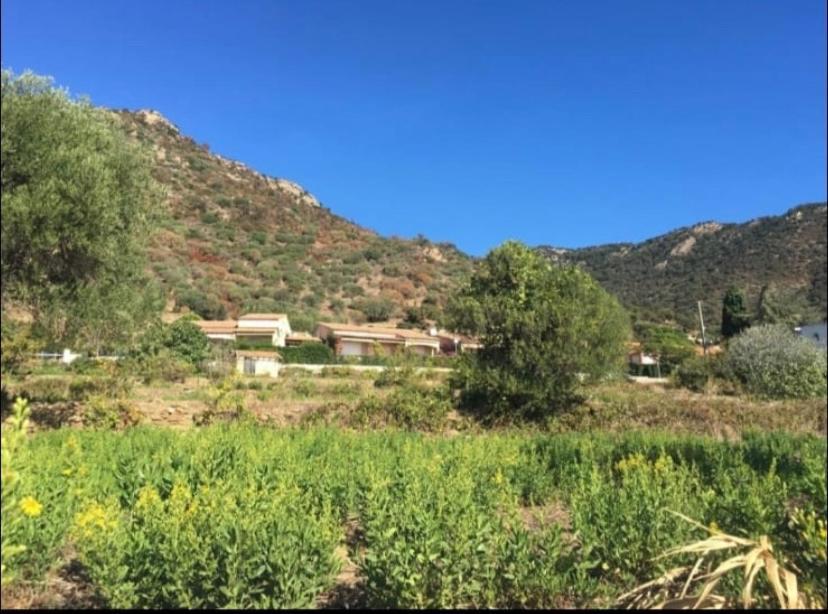 Au Petit Bonheur Vue Mer, Parking, 400M Plage Le Lavandou Eksteriør billede